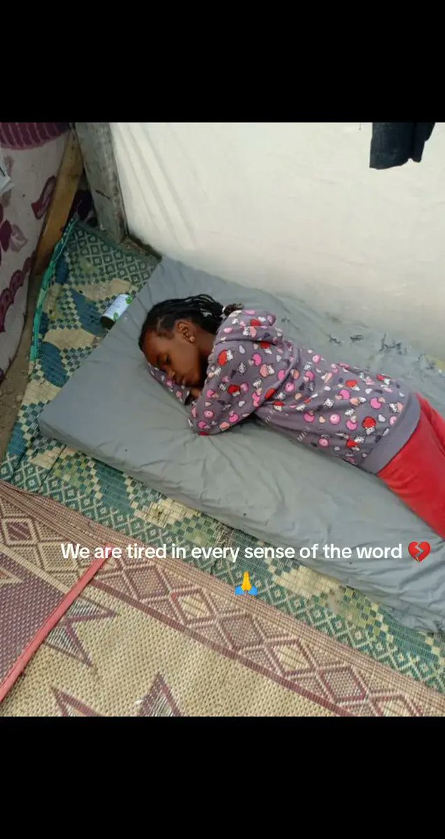 Nour Jamaan from Gaza tweet media