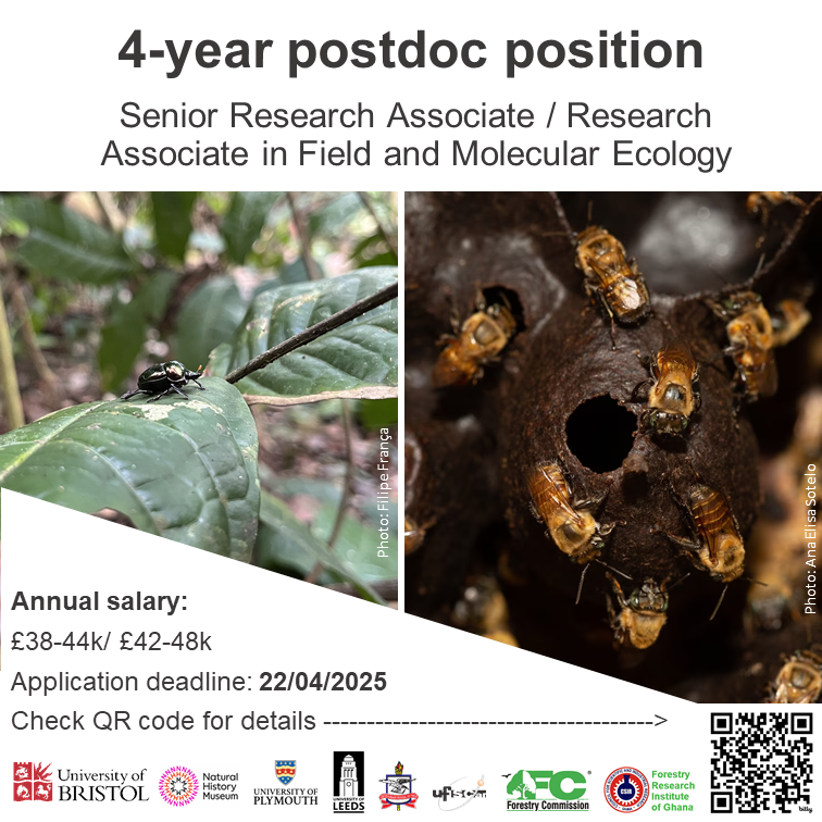 🔎👀 We are hiring, please RT! 🚨
🌍🌴 Senior Research Associate / Research Associate in Field and Molecular Ecology.
🪲🐝🦋 You will use iDNA/eDNA to build dung beetle-mammal / bee-plant networks in the Brazilian Amazonia, Ghana, &amp; Malaysia.
Details -&gt; emea3.recruitmentplatform.com/tlk/pages/fo/d…
