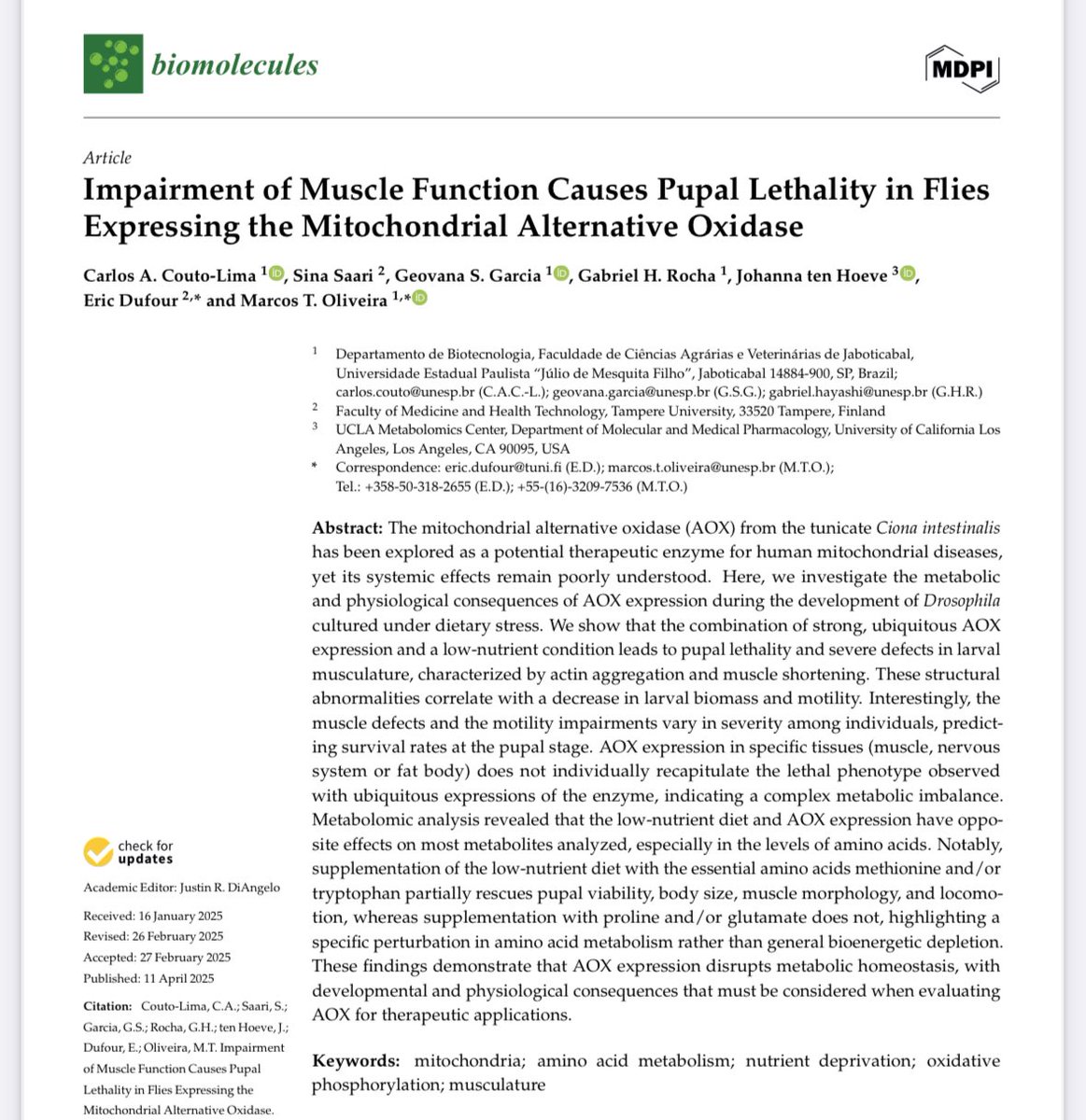 Geovana Siqueira Garcia (@ggarcia_bio) on Twitter photo Just one piece of the long AOX expression story in #Drosophila—now published!
<a href="/Karlos_Couto/">Carlos_couto</a>
mdpi.com/2218-273X/15/4… Just one piece of the long AOX expression story in #Drosophila—now published!
<a href="/Karlos_Couto/">Carlos_couto</a>
mdpi.com/2218-273X/15/4…