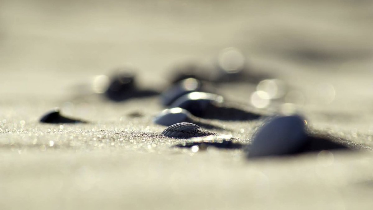 dezeekust's tweet photo. Ik hou er gewoon heel erg van... 

#dezeekust #vanmij https://t.co/7ok7Ubn3G8