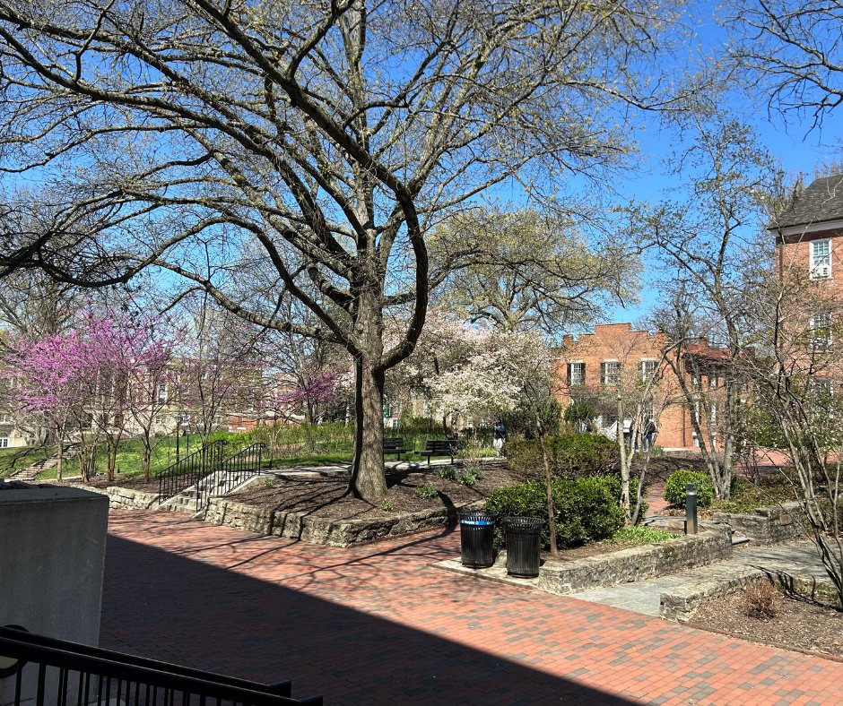 OhioULibraries (@aldenlibrary) on Twitter photo Spring has sprung outside of Alden Library! Enjoy the views of the greenery in Wolfe Garden on the fourth, fifth, sixth and seventh floors!
<a href="/ohiou/">Ohio University</a> Spring has sprung outside of Alden Library! Enjoy the views of the greenery in Wolfe Garden on the fourth, fifth, sixth and seventh floors!
<a href="/ohiou/">Ohio University</a>