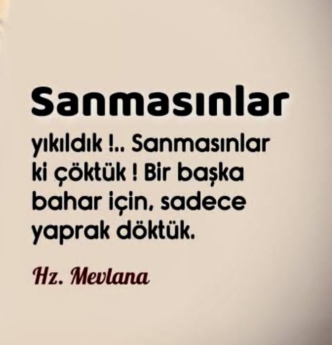 denizbera1's tweet photo. https://t.co/Bshie3wjqM