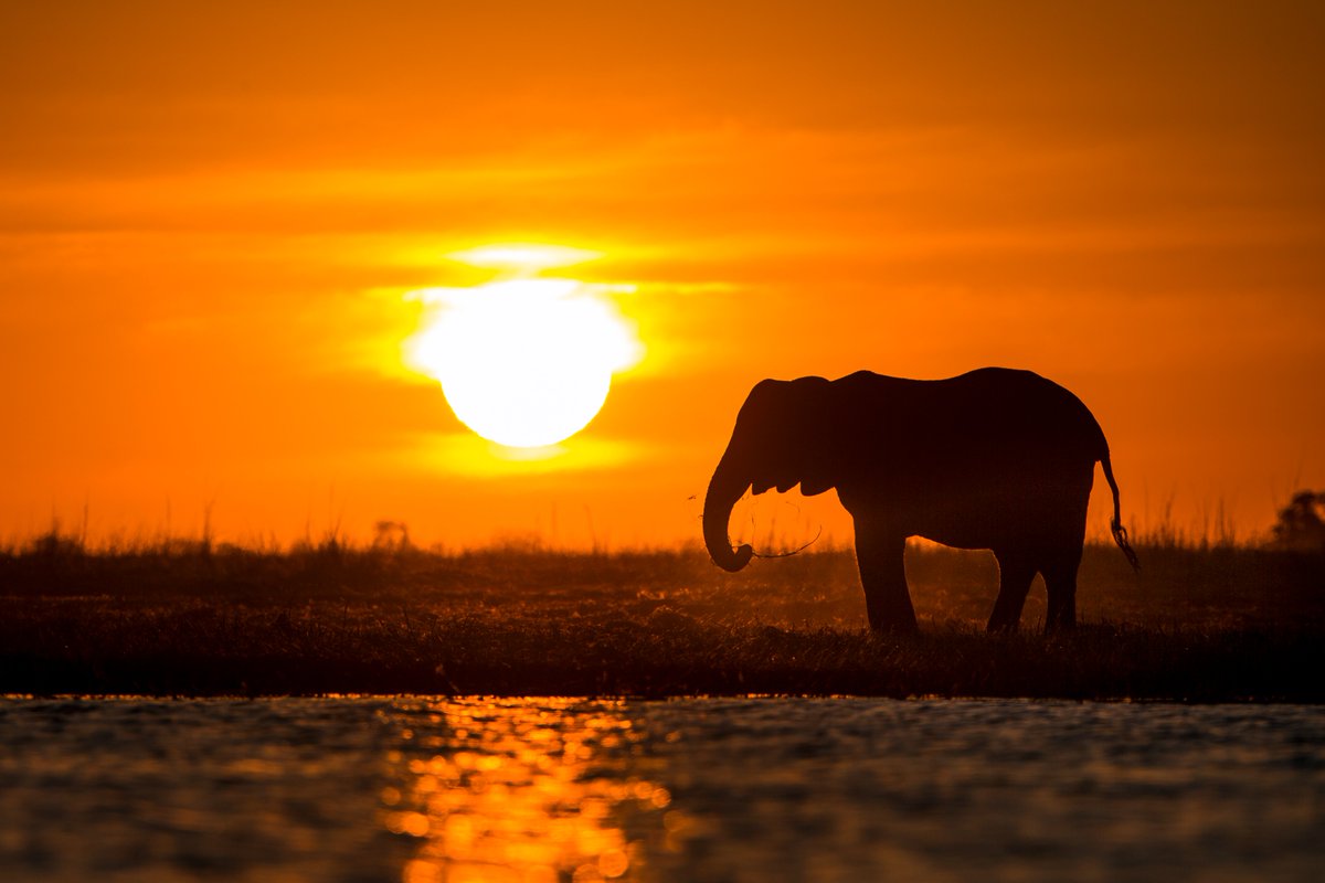 WWF Zambia (@wwfzambia) on Twitter photo Sustainable tourism in KAZA supports both biodiversity and local livelihoods. Click to watch how <a href="/wwfzambia/">WWF Zambia</a> is building #CommunityResilience through the Mungongo tree oil extraction and processing project: youtube.com/watch?v=TatH4n… @BMZ_bund <a href="/Peace_Parks/">PeaceParksFoundation</a> Sustainable tourism in KAZA supports both biodiversity and local livelihoods. Click to watch how <a href="/wwfzambia/">WWF Zambia</a> is building #CommunityResilience through the Mungongo tree oil extraction and processing project: youtube.com/watch?v=TatH4n… @BMZ_bund <a href="/Peace_Parks/">PeaceParksFoundation</a>