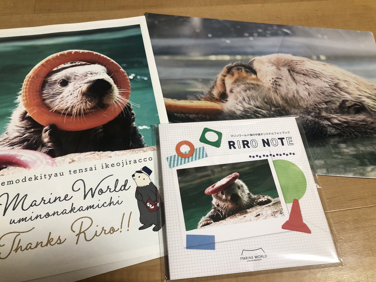 RIRO NOTE 本当に素敵なフォトブックでした😭何みても泣けちゃう