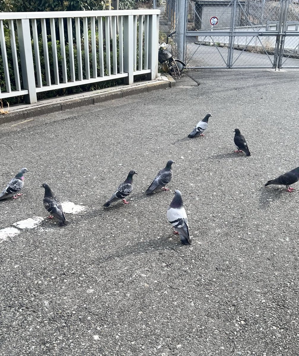 kofji's tweet photo. https://t.co/epgyQkJ2jg