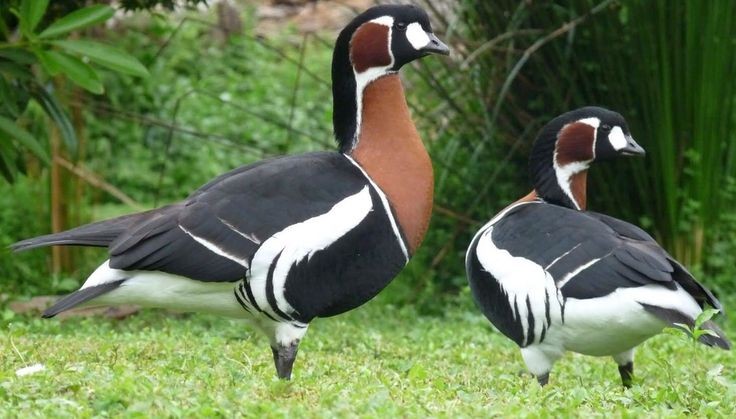 Derek Paterson tweet media