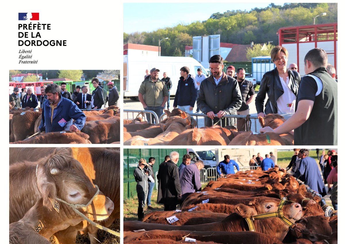 Image de Préfète de la Dordogne