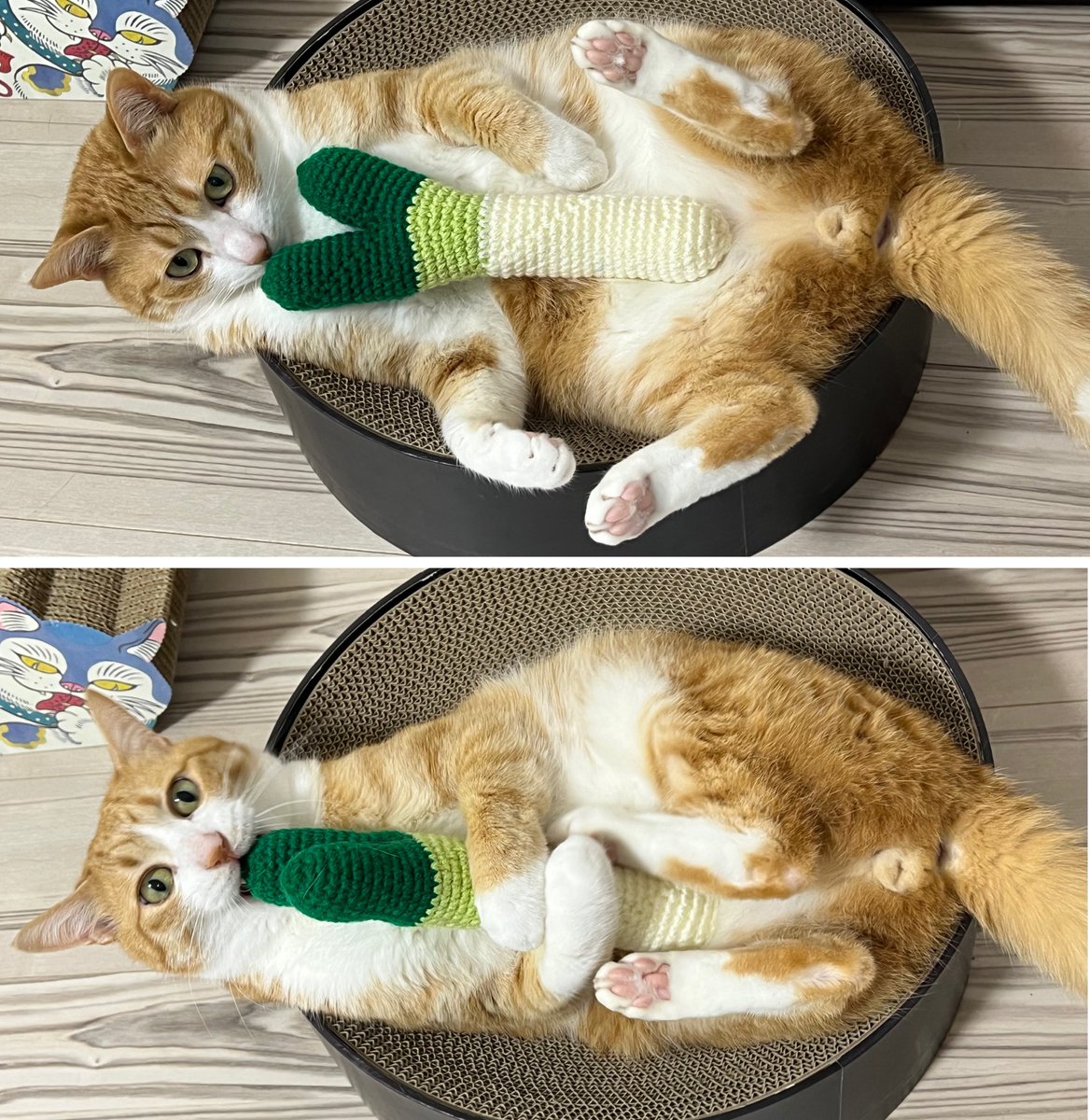 長ネギ乗っけてみました