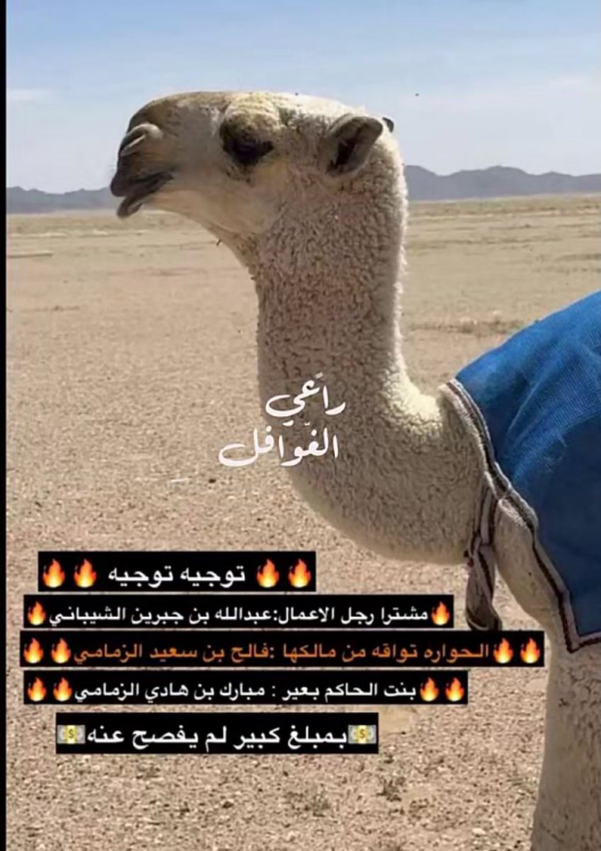 lilililmlililil's tweet photo. كفووووووووو🤩🤩🤩ووووووووووو
مشترى / عبدالله جبرين الشيباني 👏 https://t.co/wXCTWZw0TO