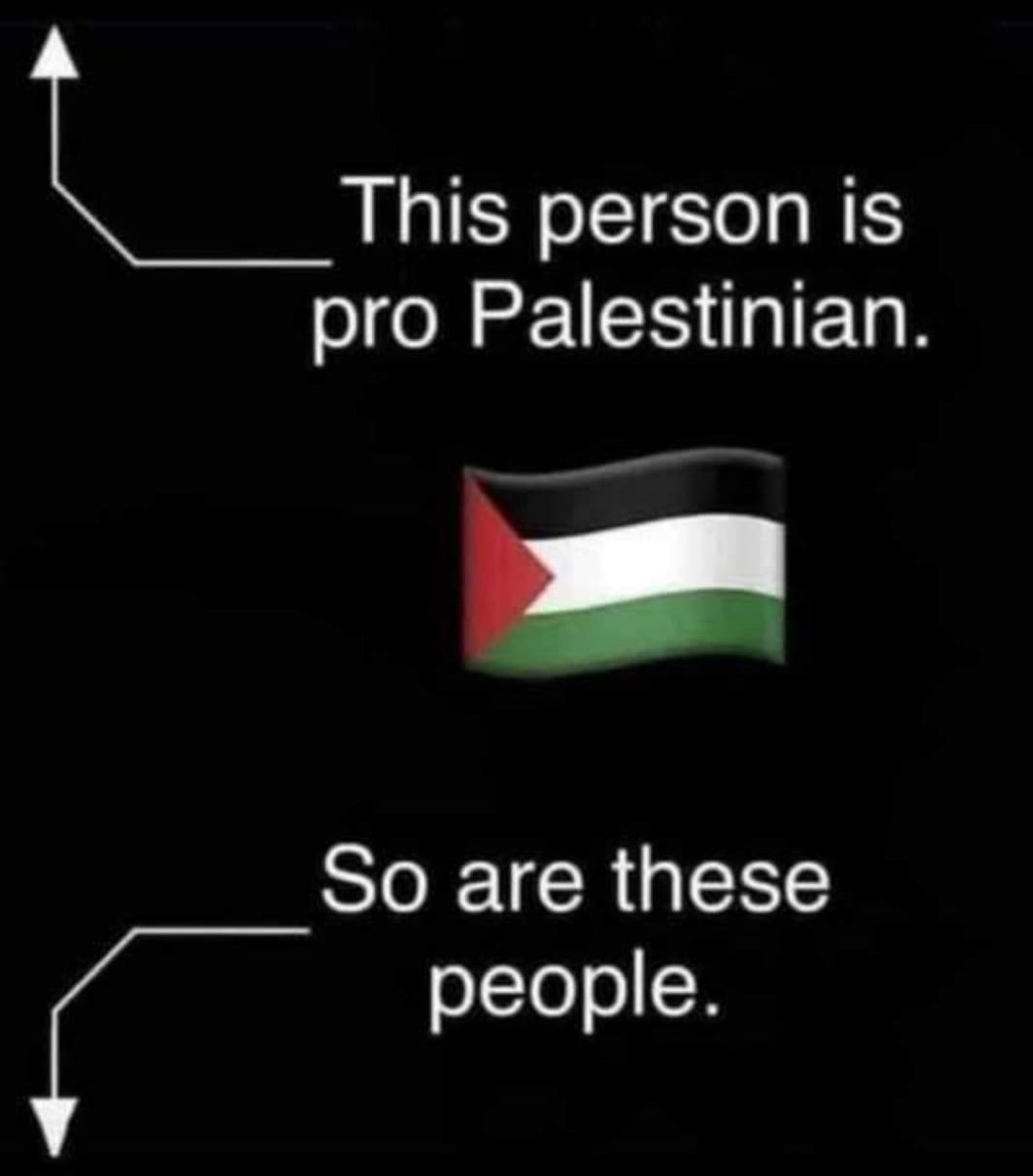 If you see this, reply with 🇵🇸
