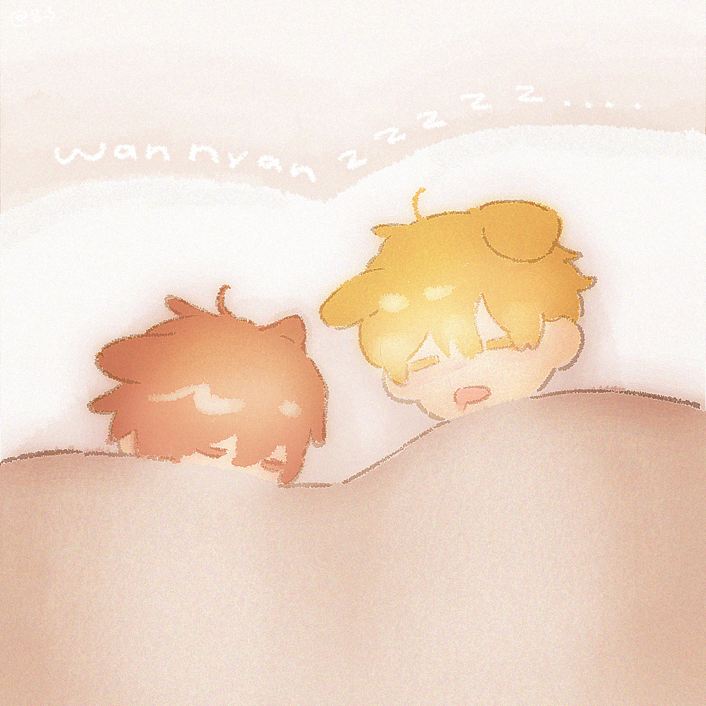 💤