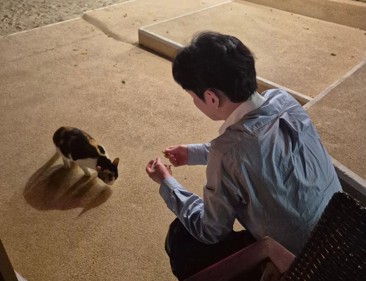 밤비봄 tweet media