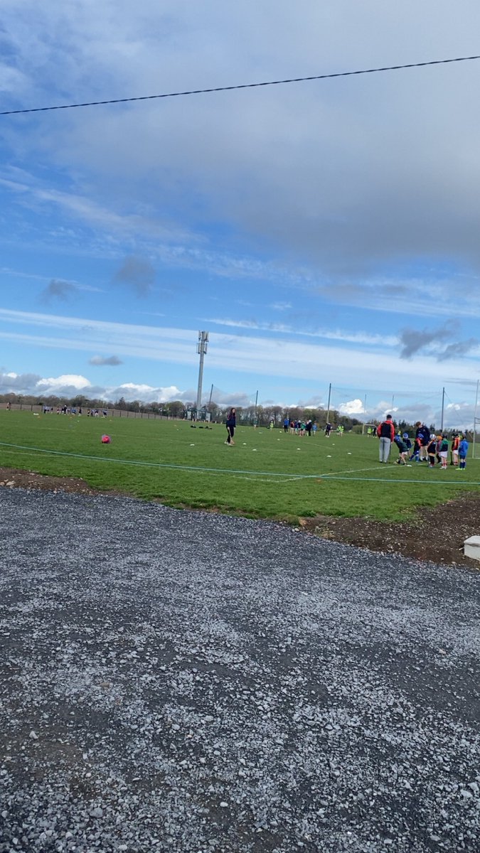 Jordan Walshe tweet media