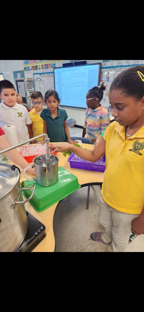 GloriaFloydES's tweet image. Our little scientists got hands-on with a super cool lesson thanks to Hayley from the Education Fund! She showed the kids how to make peppermint hydrosol using Jamaican mint straight from our school garden. #educationalfund