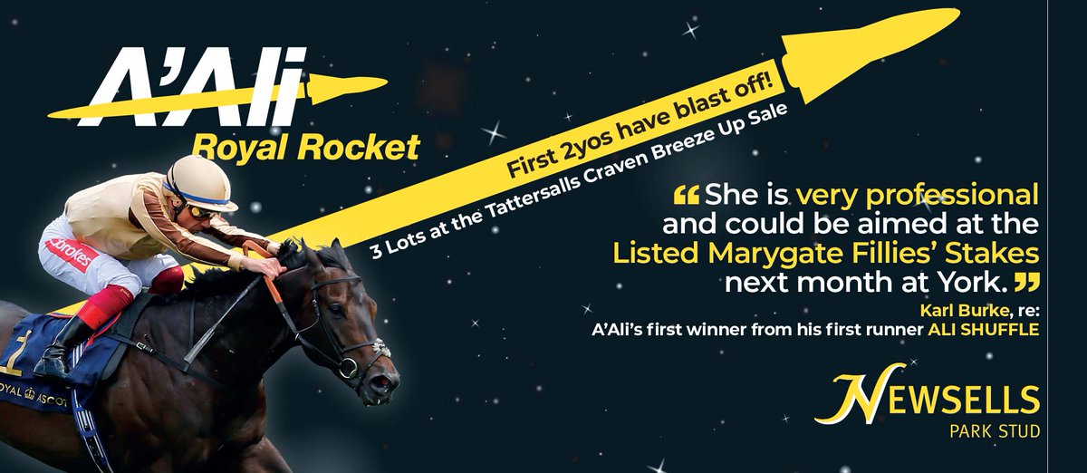 EBN (@bloodstocknews) on Twitter photo 🚀 <a href="/newsellspark/">Newsells Park Stud</a>'s A'ALI - First 2YOs have blast off 🚀
Don't miss his 3 Lots at the <a href="/Tattersalls1766/">Tattersalls</a> Craven <a href="/BrzUps/">Breeze Up Sales</a> Sale ‼️
Take a look at what trainer <a href="/karl_burke/">Karl Burke</a> has to say about A'ALI's first winner from his first runner, ALI SHUFFLE, below 👇
➡️ newsells-park.com/stallions/aali/ 🚀 <a href="/newsellspark/">Newsells Park Stud</a>'s A'ALI - First 2YOs have blast off 🚀
Don't miss his 3 Lots at the <a href="/Tattersalls1766/">Tattersalls</a> Craven <a href="/BrzUps/">Breeze Up Sales</a> Sale ‼️
Take a look at what trainer <a href="/karl_burke/">Karl Burke</a> has to say about A'ALI's first winner from his first runner, ALI SHUFFLE, below 👇
➡️ newsells-park.com/stallions/aali/