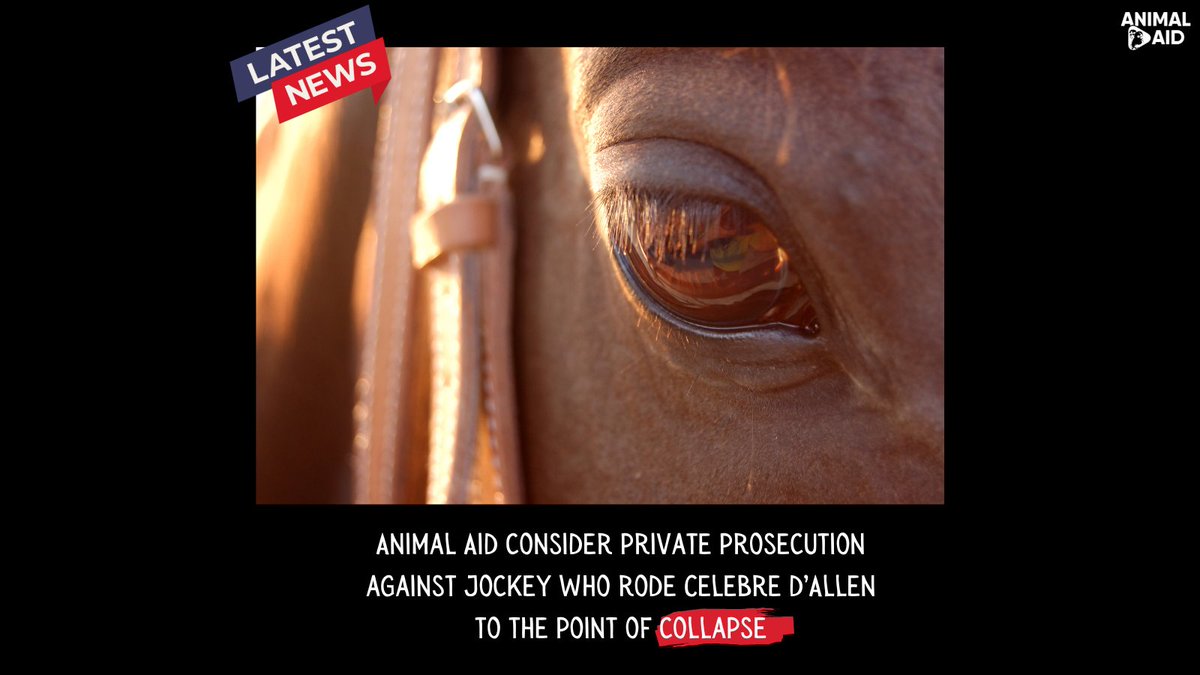 Animal Aid tweet media