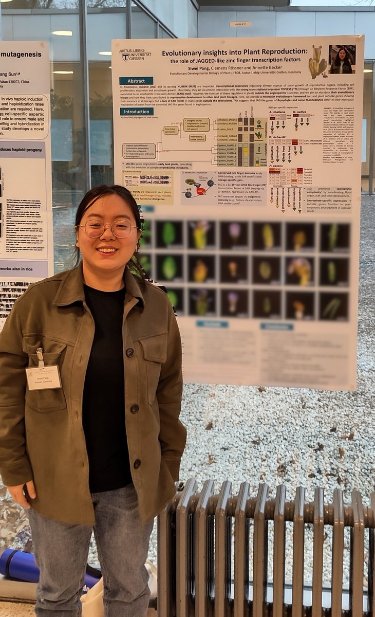 Evolution of Plant Sexual Reproduction tweet media