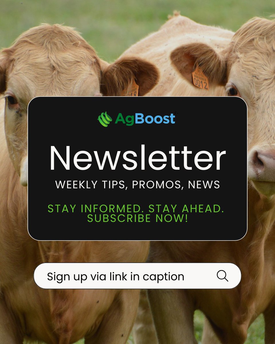 Stay ahead of the herd! Get industry insights, genetic trends, and expert advice in your inbox.

ag-boost.com/register 

#AgBoost #StayAhead #GeneticInsights #CattleGenetics #AgTech #RanchingSuccess #DataDrivenDecisions #CattleIndustry #BreedingBetter