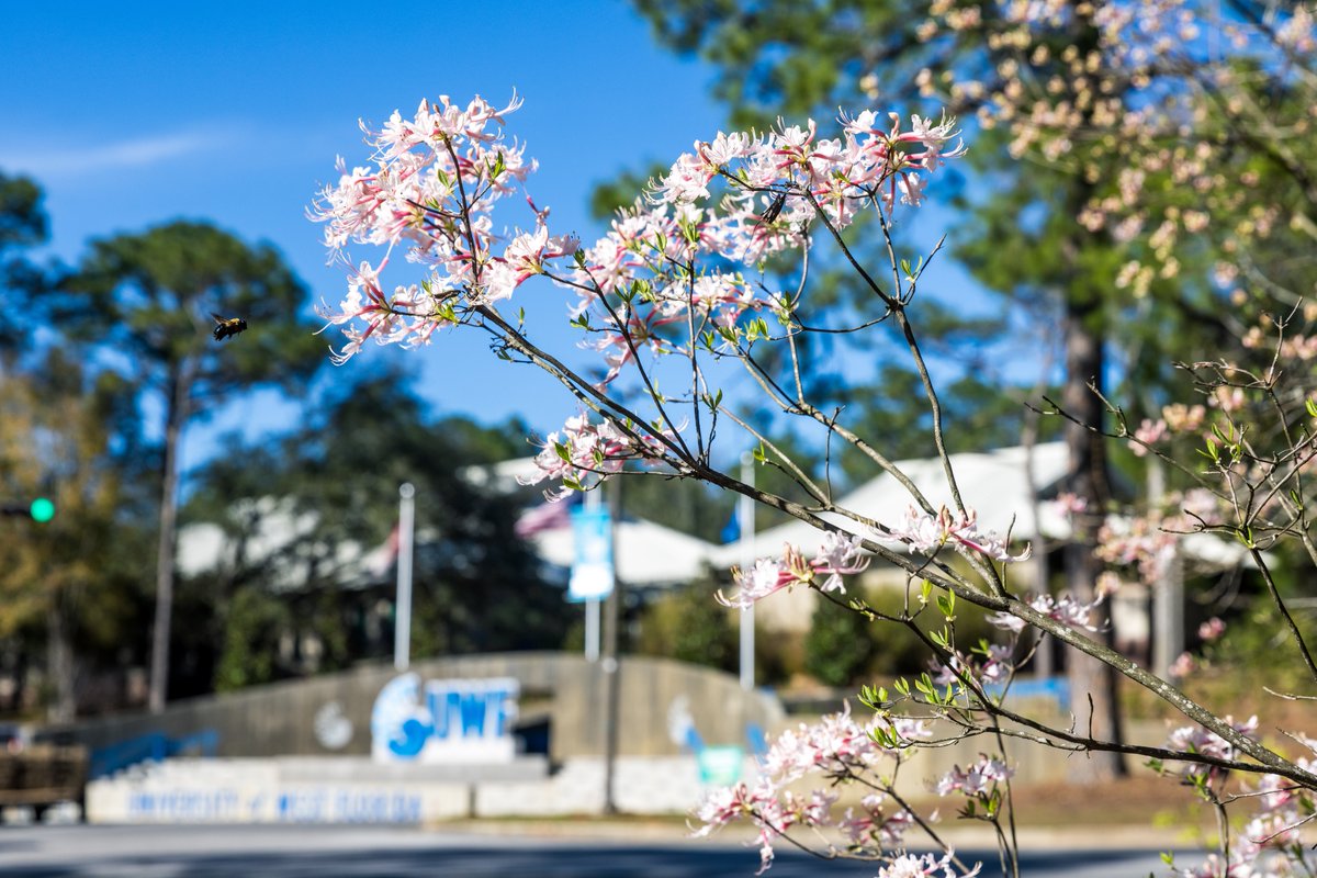 Join me in celebrating #UWFFoundersWeek — a special time to honor the past, embrace the present, and contribute to the bright future of our University. Let’s unite as a #UWF community and make this week unforgettable.

🔗 uwf.edu/foundersweek