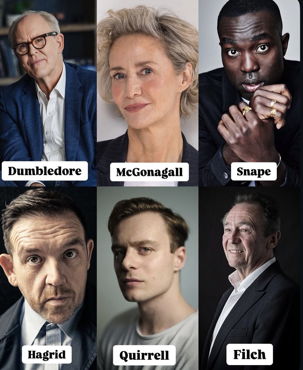 TENEMOS NOTICIAS! 

Los primeros 6 actores CONFIRMADOS para la serie de Harry Potter son John Lithgow como Albus Dumbledore, Janet McTeer como Minerva McGonagall, Paapa Essiedu como Severus Snape, Nick Frost como Rubeus Hagrid, Luke Thallon como Quirinus Quirrell y Paul