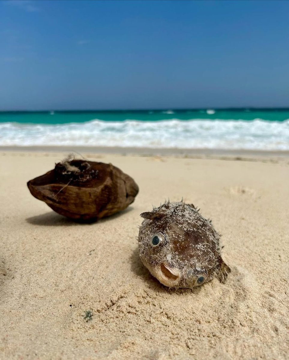 Fukwe Tours Company Ltd tweet media