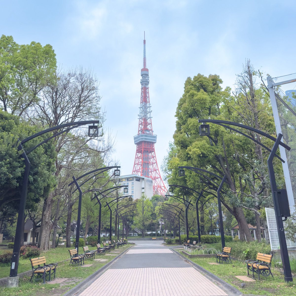 class_bm's tweet image. 皆さんご存知の&quot;東京タワー&quot;🗼

近すぎても、遠すぎても綺麗に撮れない…

絶妙な距離感ってのも大事ですね👍