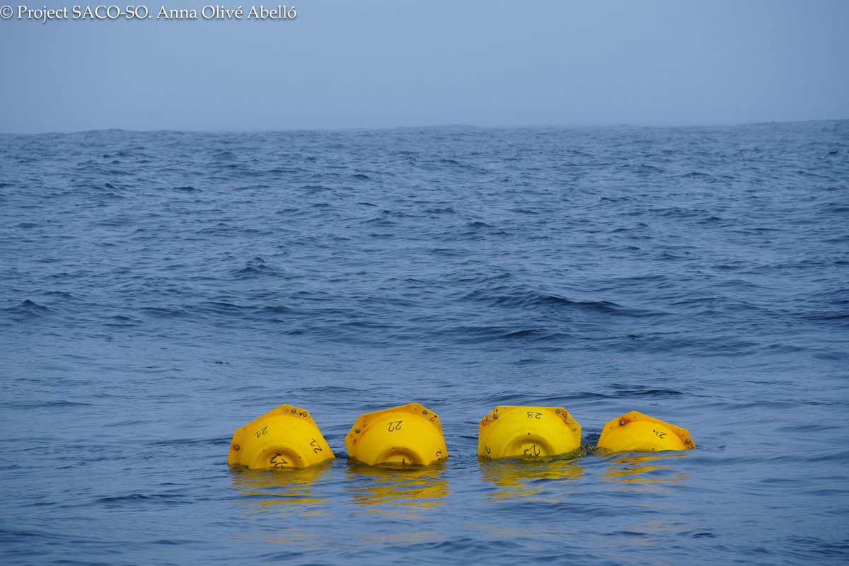 IEOoceanografia's tweet photo. El @ICMCSIC y el #IEO lideran una expedición internacional para estudiar la circulación profunda del océano Austral 🌊❄️

A bordo del Hespérides, el equipo ha llevado a cabo una campaña de 26 días desde el mar de Weddell hasta el mar de Scotia 🚢

➡️ https://t.co/lDvLPemGTL https://t.co/Qyt6HIgTYZ
