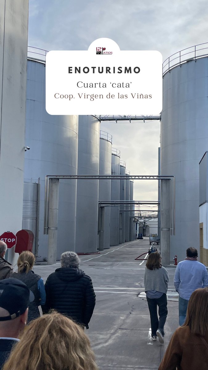 La más grande… Pero <a href="/vinostomillar1/">VIRGEN DE LAS VIÑAS BODEGA Y ALMAZARA</a> es mucho, mucho más. Es una de las propuestas enoturísticas más punteras de la Región, es un recorrido por la tradición vitivinícola de la zona y es un impresionante museo de arte contemporáneo. Es una visita absolutamente recomendable.