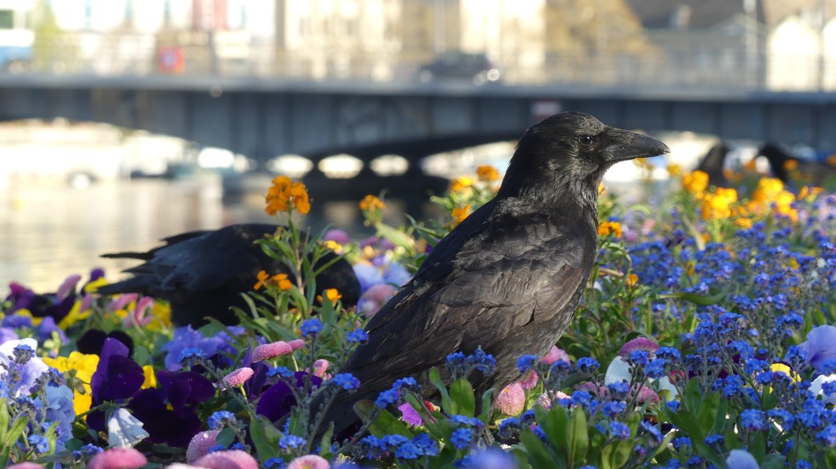 Jason Cann tweet media