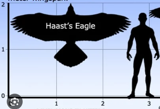 TimHickson1's tweet photo. sorry I can't hear you over the sound of the largest eagle to ever exist who periodically ate children https://t.co/TEYNnt3jN0