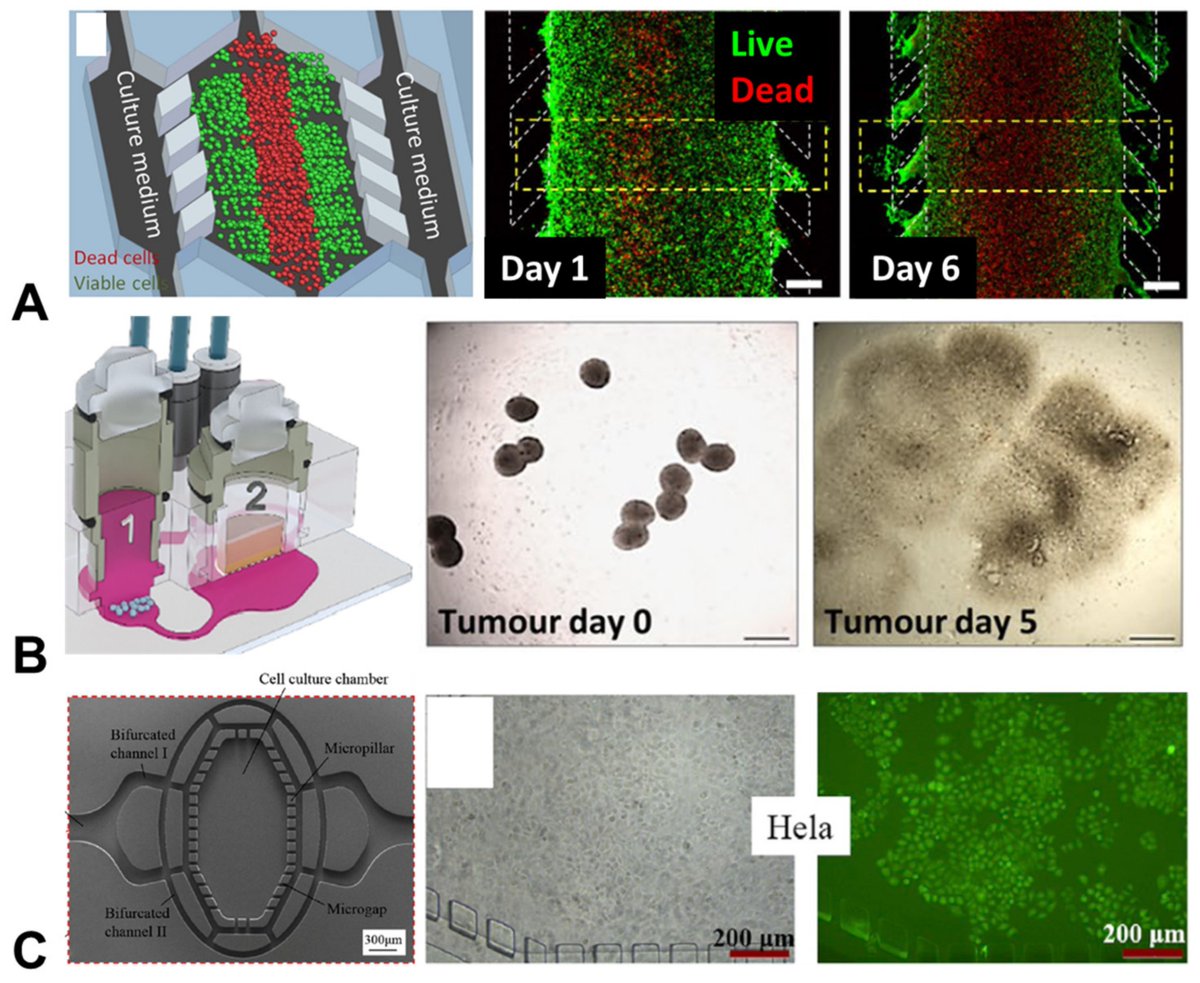 Cancers MDPI (@cancers_mdpi) on Twitter photo 📢 Call for Reading:
*Organ-on-a-Chip and Microfluidic Platforms for Oncology in the UK*
👨🔬by Joanne Nolan, et al. <a href="/DocBruggsBunny/">Stefaan Verbruggen</a> <a href="/QMUL/">Queen Mary University of London</a>
#OpenAccess 🔓mdpi.com/2072-6694/15/3… 📢 Call for Reading:
*Organ-on-a-Chip and Microfluidic Platforms for Oncology in the UK*
👨🔬by Joanne Nolan, et al. <a href="/DocBruggsBunny/">Stefaan Verbruggen</a> <a href="/QMUL/">Queen Mary University of London</a>
#OpenAccess 🔓mdpi.com/2072-6694/15/3…