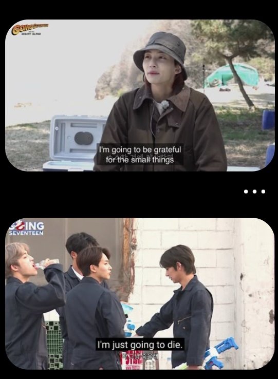 this is the funniest thing I've seen today