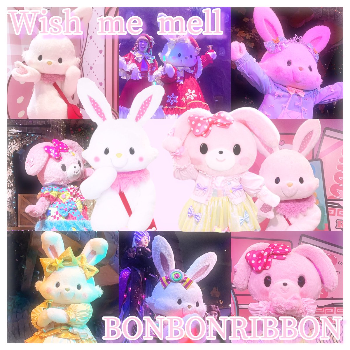 ゆめにゃん.⋆𝜗𝜚 (@ribbonsanrio) / X