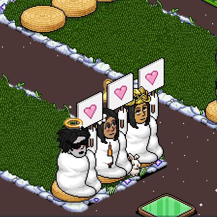 Spinelli7 | wild gata 🍊 tweet media