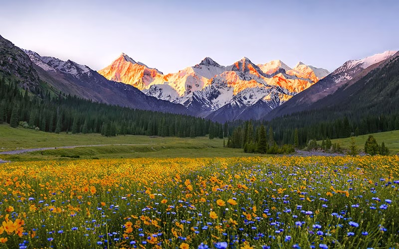 SAMENAcouncil's tweet image. 📈 @Huawei  reports CNY862.1 billion revenue &amp;amp; CNY62.6 billion net profit in 2024, with a massive CNY179.7 billion invested in R&amp;amp;D. #Huawei #AnnualReport #TechFinance #Innovation