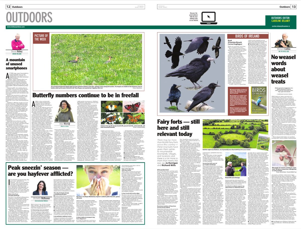CarDelaney's tweet image. exa.mn/t7z
‣ Butterfly numbers in freefall
‣ Unused smartphones
‣ Irish fairy forts
‣ Sneezin&apos; season... hayfever science
‣ Weasels&apos; winner dinners
‣ Rooks
📷African hoopoes in Tragumna, Cork
@RushyMountain
@palaeo_mich
@MiseAnja @JoKerrigan2 @RichardTMills