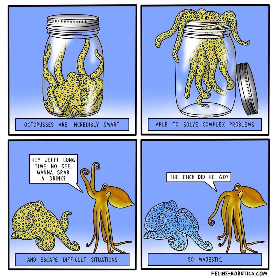 Spaceships tweet media