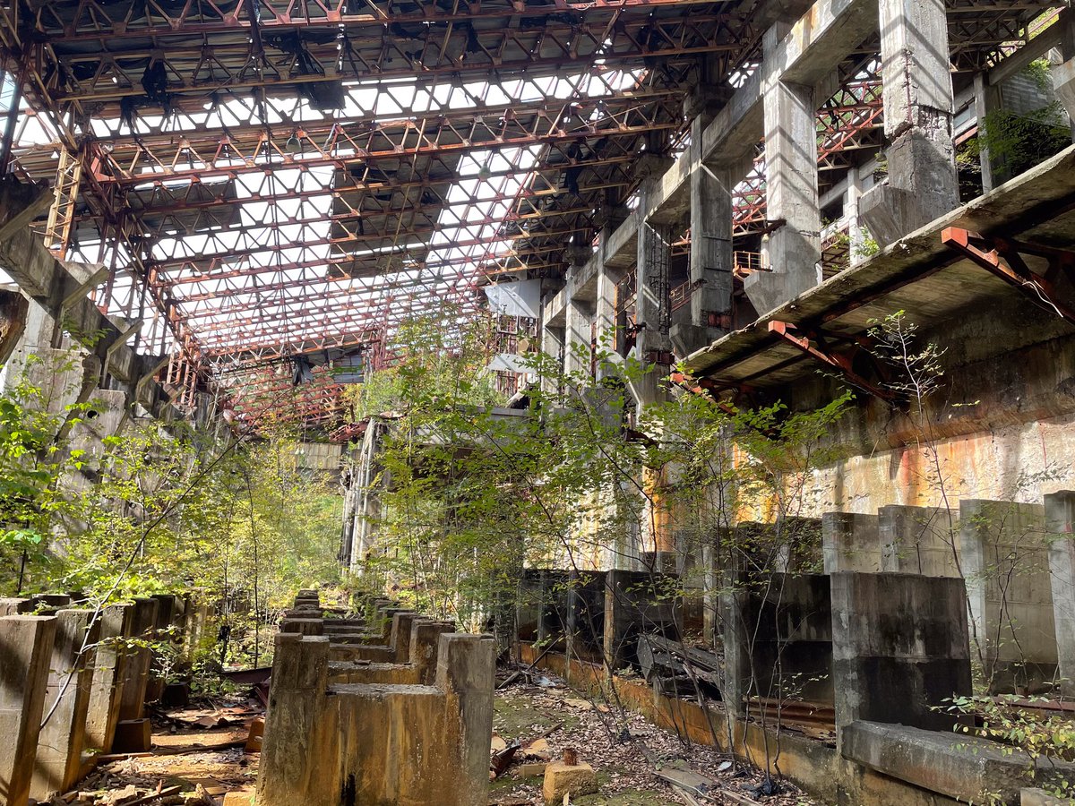 階段は朽ちて使えなかったから
よじ登って上まで登った思い出