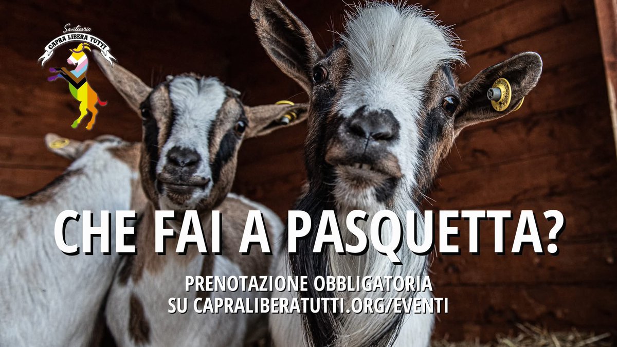 Capra Libera Tutti tweet media