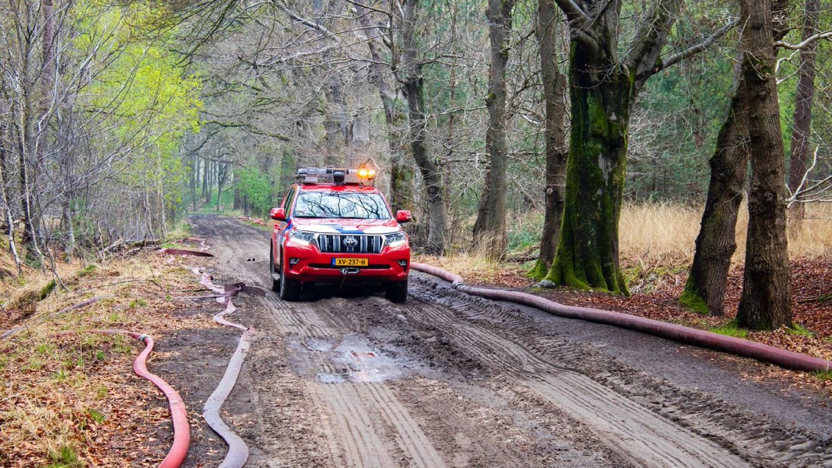 Politie zoekt getuigen van bosbrand in Drunen
