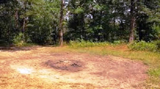 Nama Hoia Baciu diambil dari seorang gembala yang, menurut legenda lokal, menghilang bersama 200 ekor dombanya saat masuk ke hutan ini. Mereka tak pernah ditemukan lagi. Sejak itu, hutan ini punya reputasi buruk di kalangan penduduk setempat.