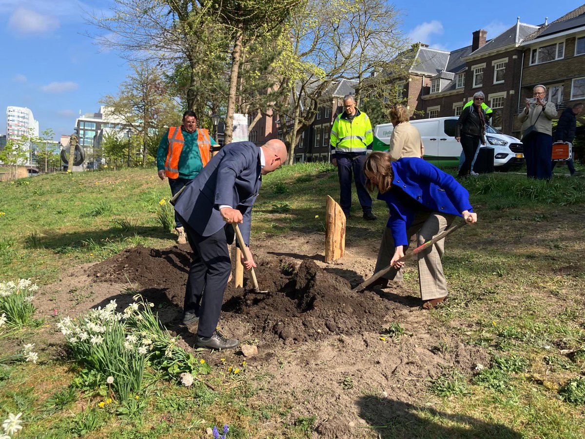 Vandaag is door <a href="/mirjambikker/">Mirjam Bikker</a> een Europese Larix geplant in het Utrechtse Willemsplantsoen. Deze boomplanting is een initiatief van Open Tuinendag Utrecht om aandacht te vragen voor monumentaal groen in de binnenstad (opentuinendagutrecht.nl). 

#opentuinendagutrecht