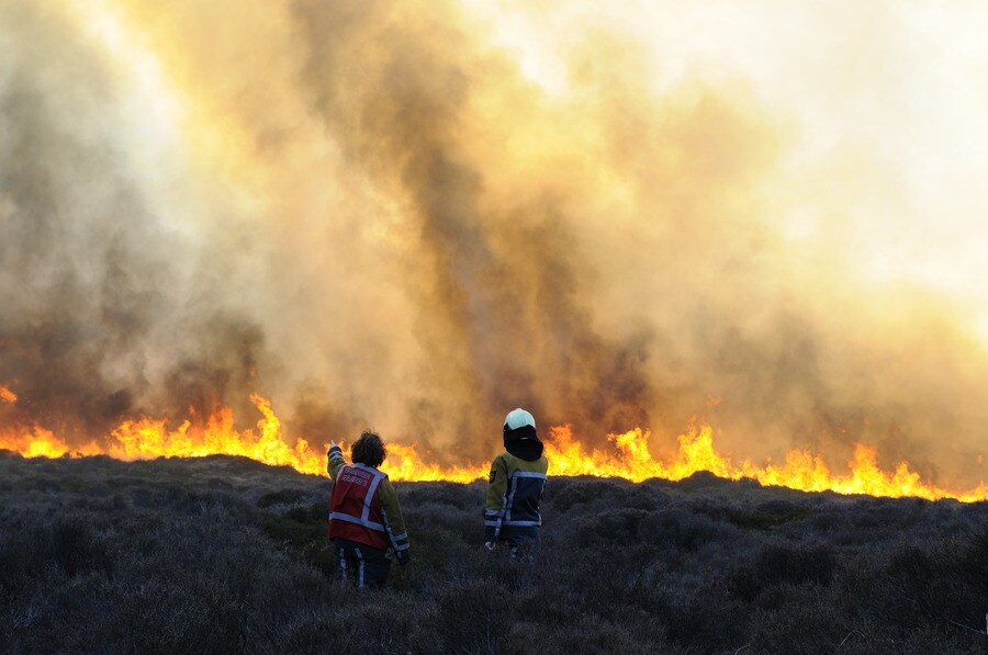 Zeer grote duinbrand leidt tot evacuatie van Bergen aan Zee