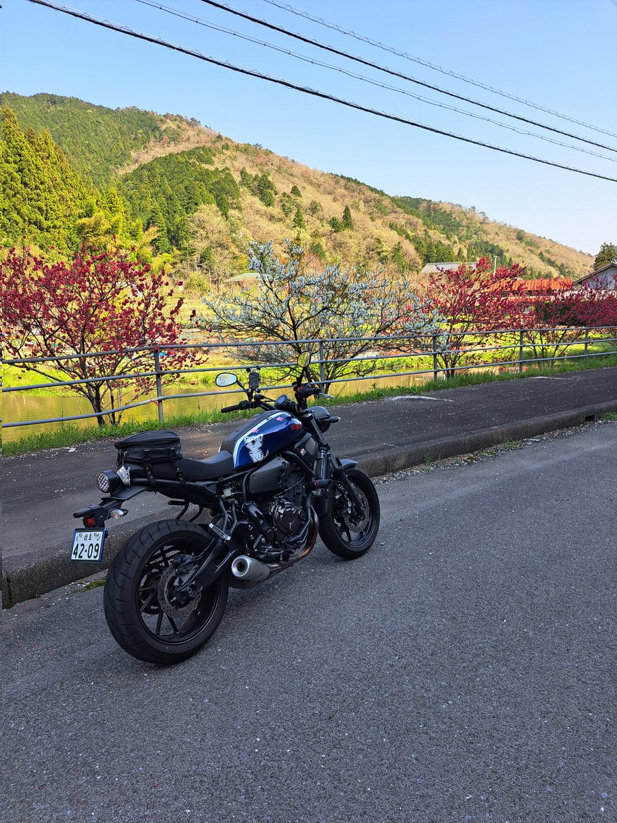 Funkyrider60's tweet photo. お久しぶりです😃
昨日見に行った緑の桜🌸
今日のうすずみ桜と花桃
楽しい２日間でした。
明日から配達頑張ります。
老体と老眼にむち打ち、小さな文字の住所宛名を間違えないように、階段を休み休み登ります😅
もう少しバイク楽しみたいです。 https://t.co/cvFAXf60n8