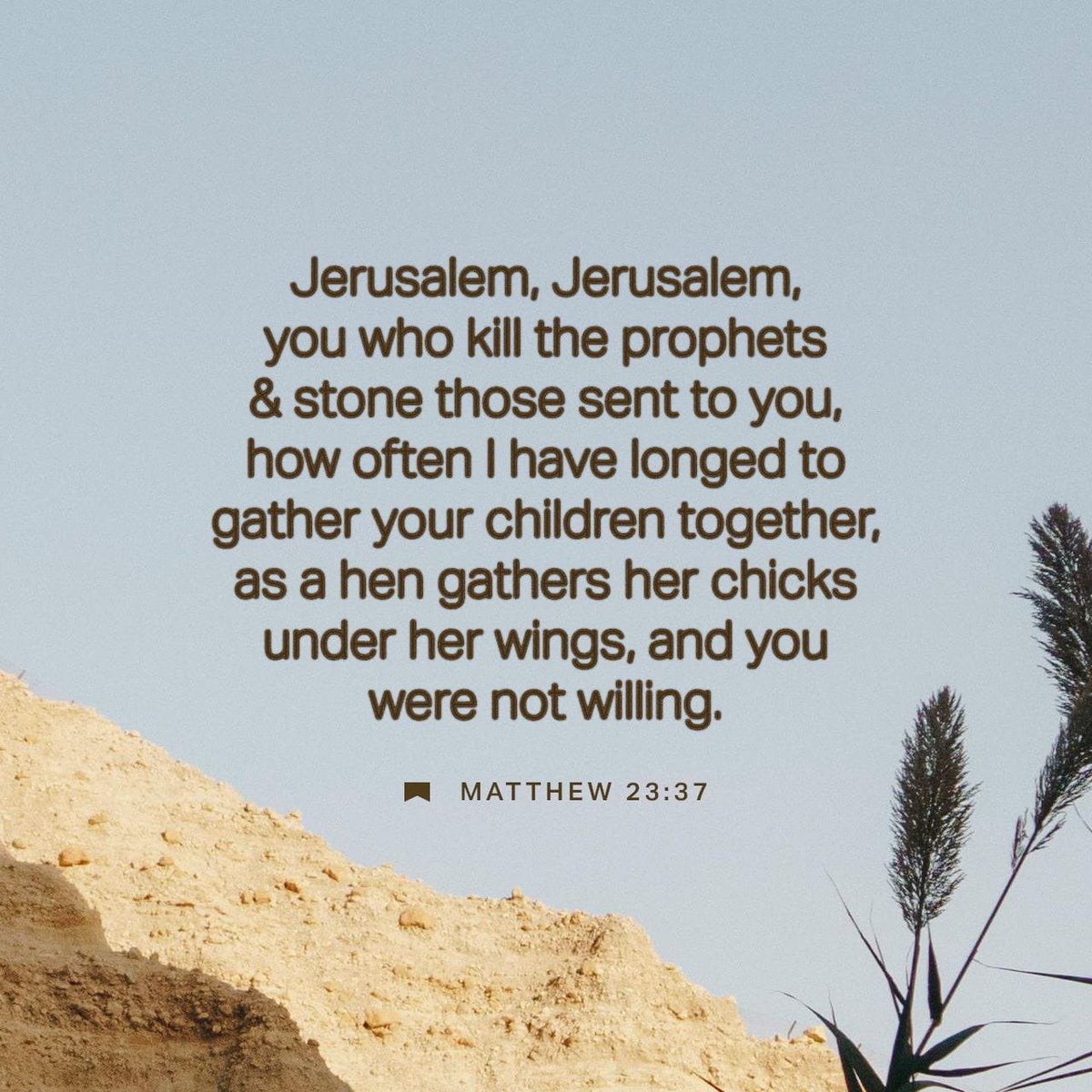 Gluee Talk tweet media