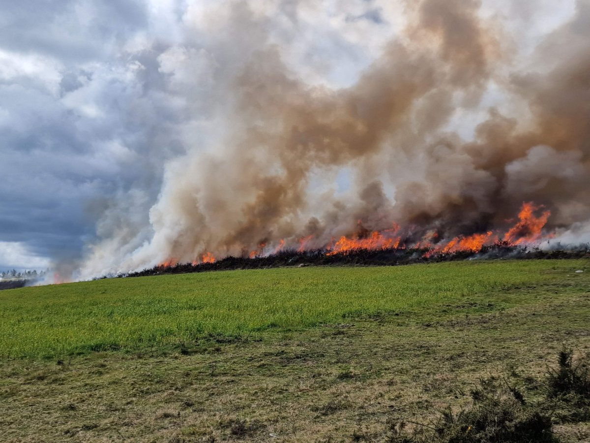 Dist_Forestal9's tweet photo. Nas pasadas semanas desenvolvéronse queimas prescritas no distrito IX. Ferramenta preventiva que reduce a carga de combustible en puntos extratéxicos. Permite a creación de paisaxe mosaico máis resilente fronte aos lumes. #queimasprescritas #prevencionincendios #monte https://t.co/xhc4pJtN6h