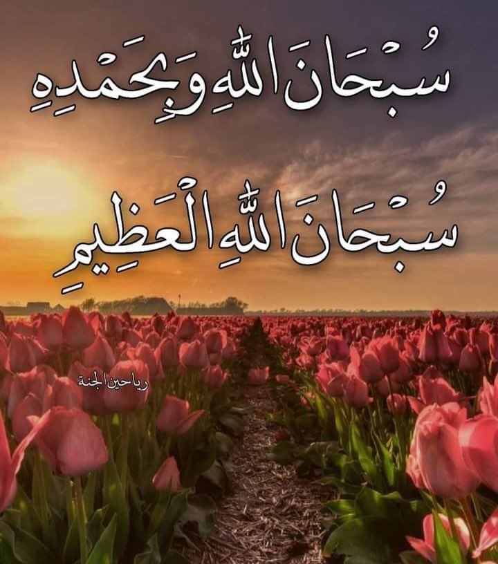 ساره (@sarasaman8) on Twitter photo 