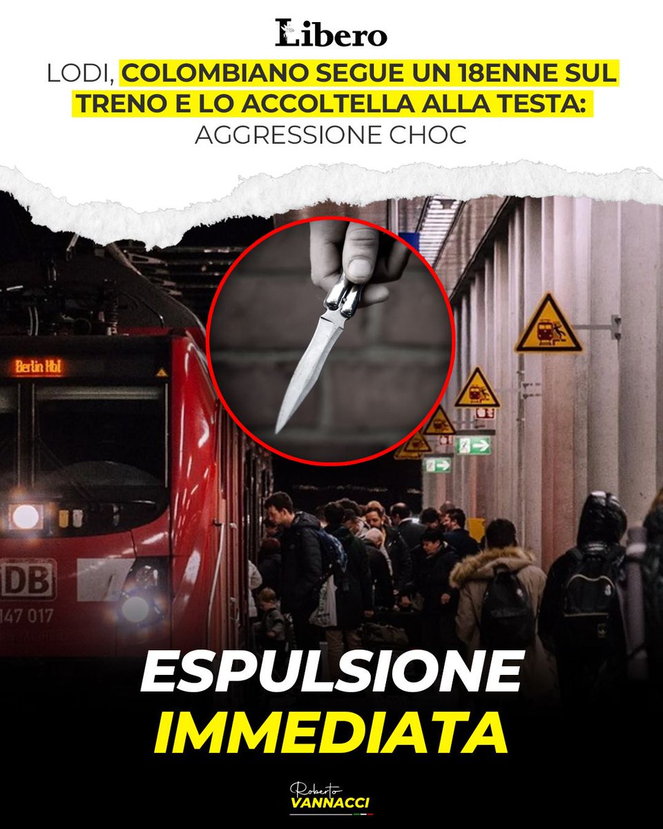 ECCO LE “RISORSE” DELLA SINISTRA
Lodi: 18enne accoltellato da un 20enne colombiano per rubargli un monopattino.
Ormai è guerra sociale. Chi porta violenza va espulso.
Decreto Sicurezza da applicare subito.
Tolleranza zero.
#Vannacci #Lega #ilmondoalcontrario #sicurezza