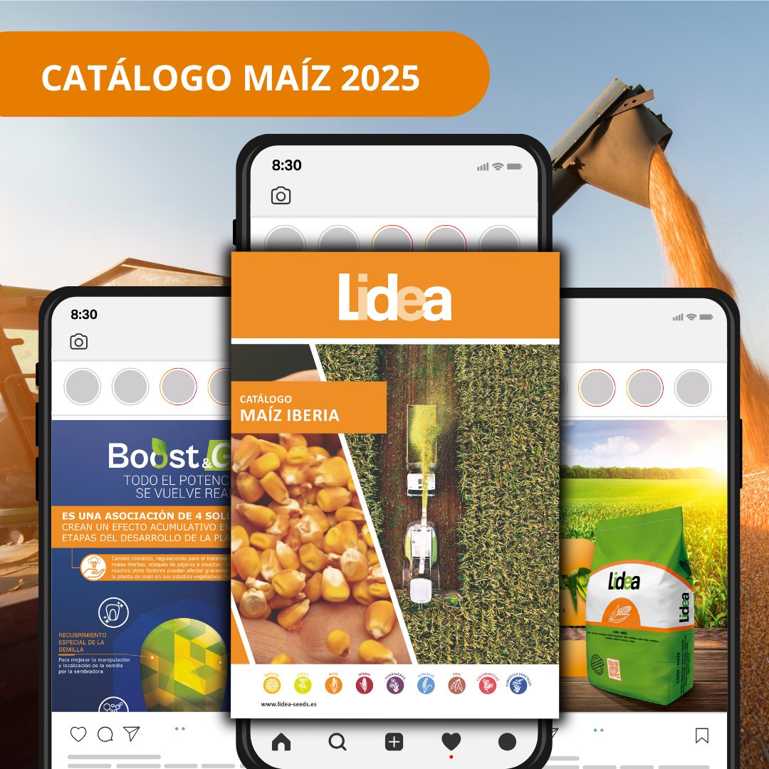 Lidea Seeds España tweet media