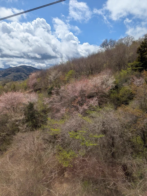 実家の家族と秩父、長瀞旅。この季節にかき氷を食べることになるとは思ってなかった 